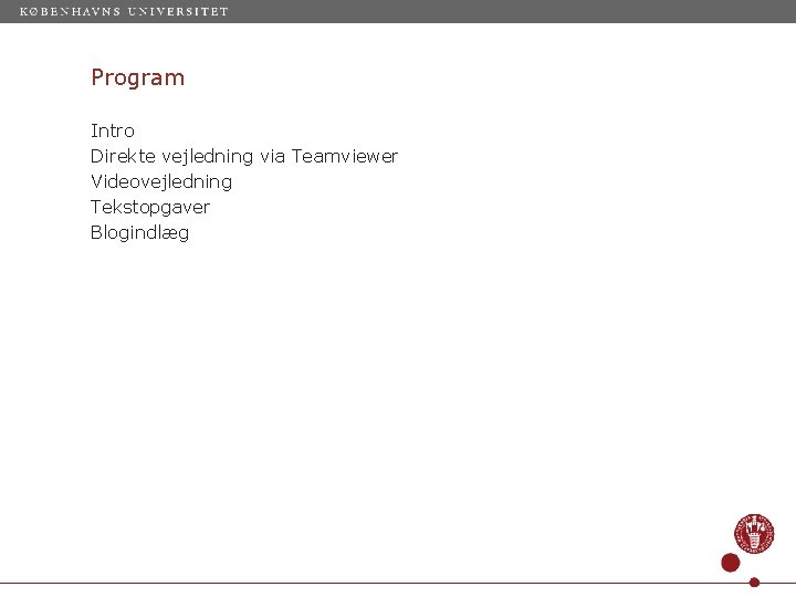 Program Intro Direkte vejledning via Teamviewer Videovejledning Tekstopgaver Blogindlæg 