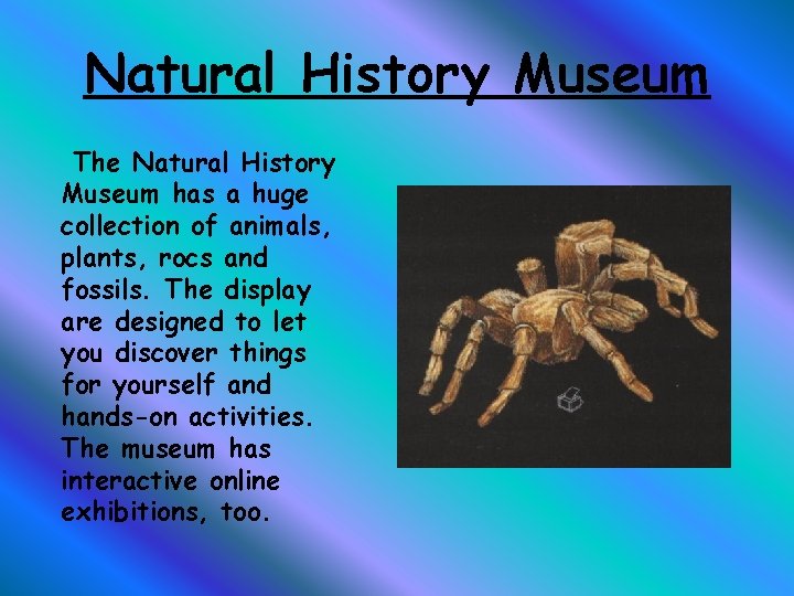 Natural History Museum The Natural History Museum has a huge collection of animals, plants,