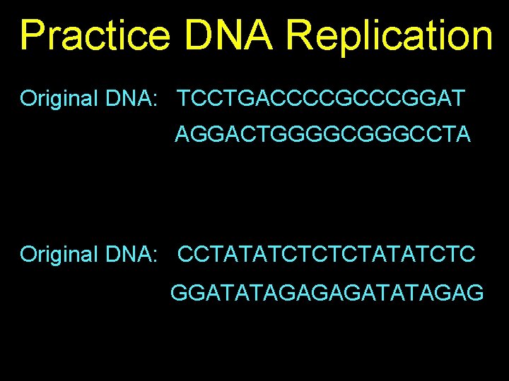 Practice DNA Replication Original DNA: TCCTGACCCCGGAT AGGACTGGGGCCTA Original DNA: CCTATATCTCTCTATATCTC GGATATAGAGAGATATAGAG 