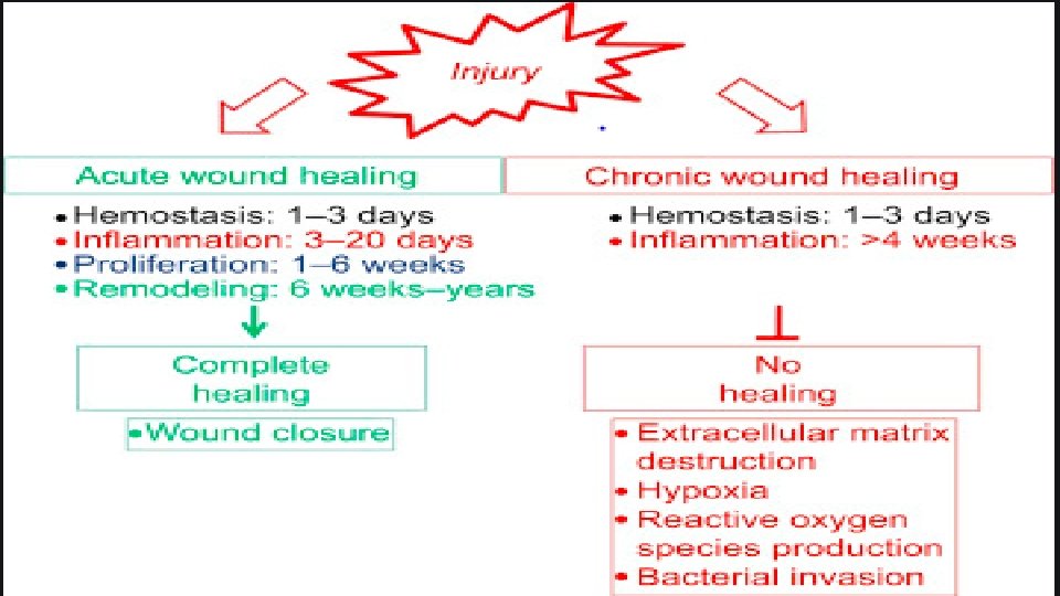 Dr. Kanwal 11 
