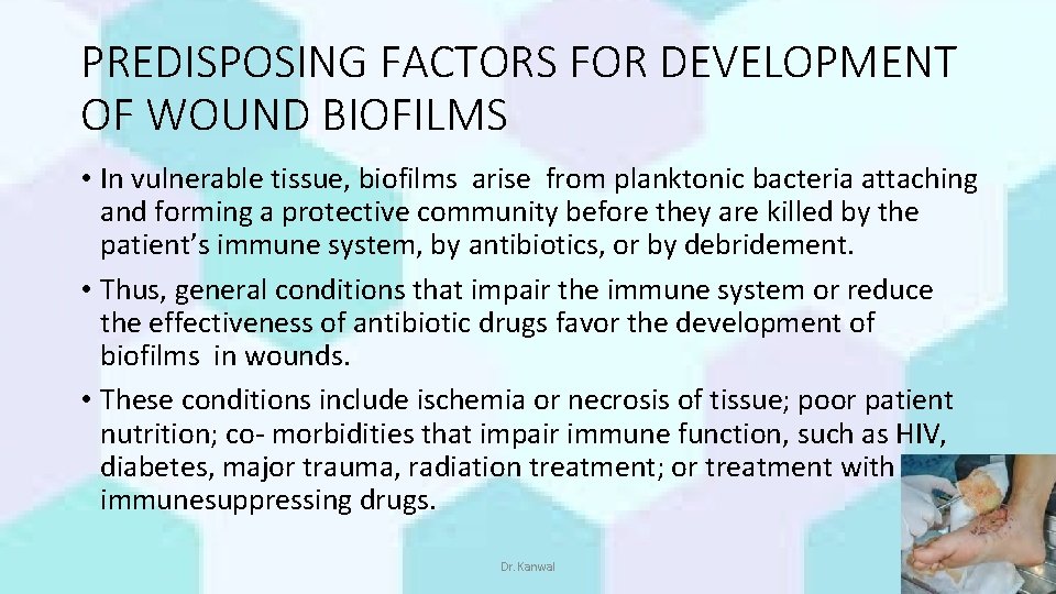 PREDISPOSING FACTORS FOR DEVELOPMENT OF WOUND BIOFILMS • In vulnerable tissue, biofilms arise from