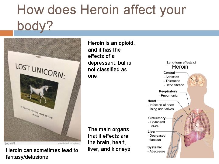 How does Heroin affect your body? Heroin is an opioid, and it has the
