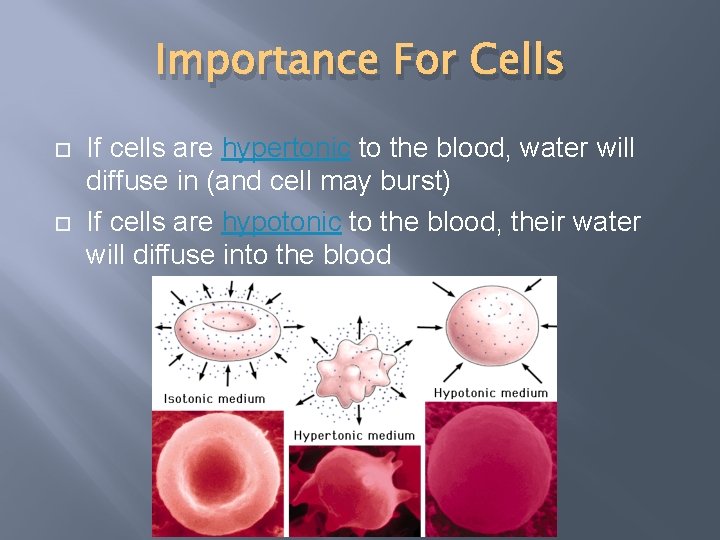 Importance For Cells If cells are hypertonic to the blood, water will diffuse in