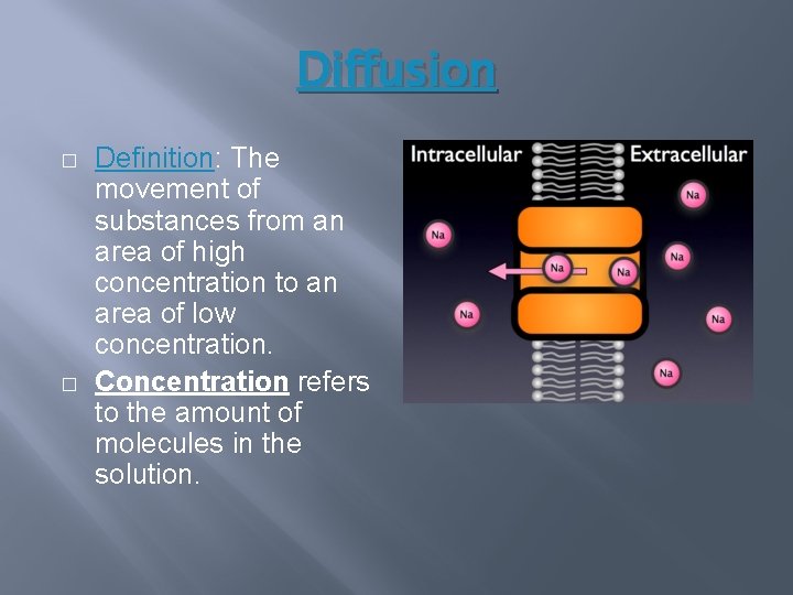 Diffusion � � Definition: The movement of substances from an area of high concentration