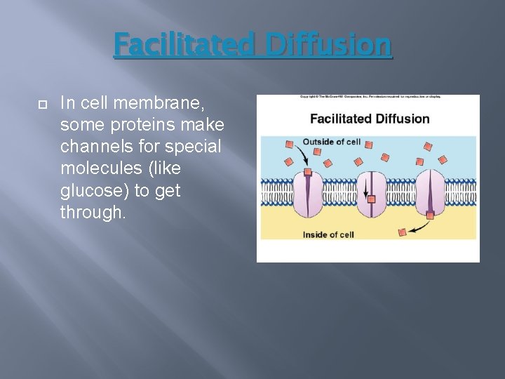 Facilitated Diffusion In cell membrane, some proteins make channels for special molecules (like glucose)