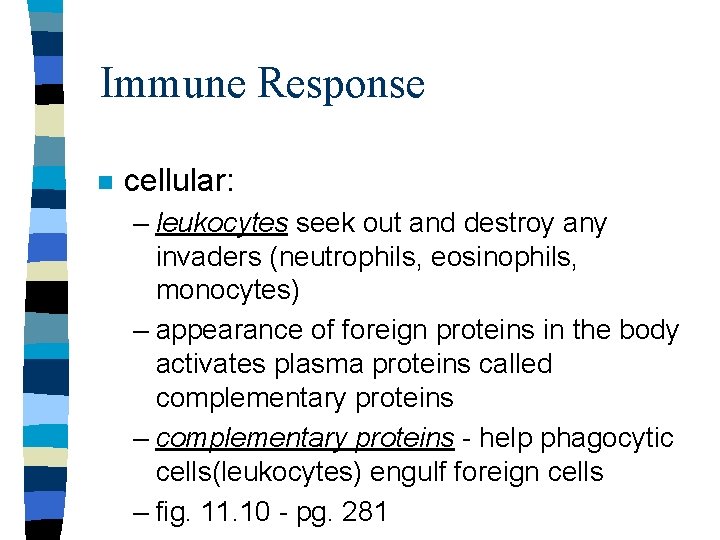 Immune Response n cellular: – leukocytes seek out and destroy any invaders (neutrophils, eosinophils,