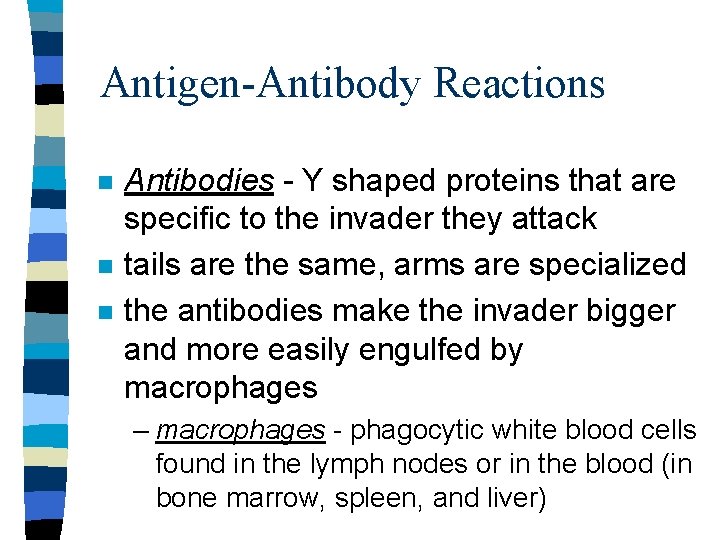 Antigen-Antibody Reactions n n n Antibodies - Y shaped proteins that are specific to