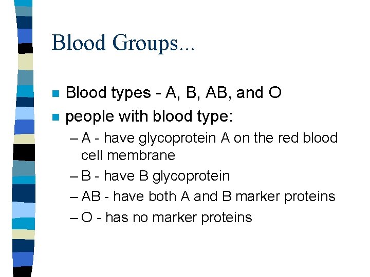 Blood Groups. . . n n Blood types - A, B, AB, and O