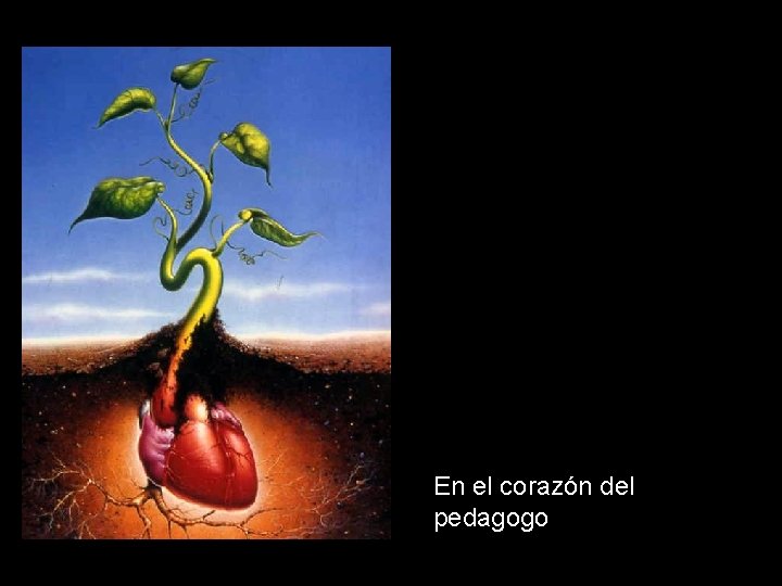 En el corazón del pedagogo 