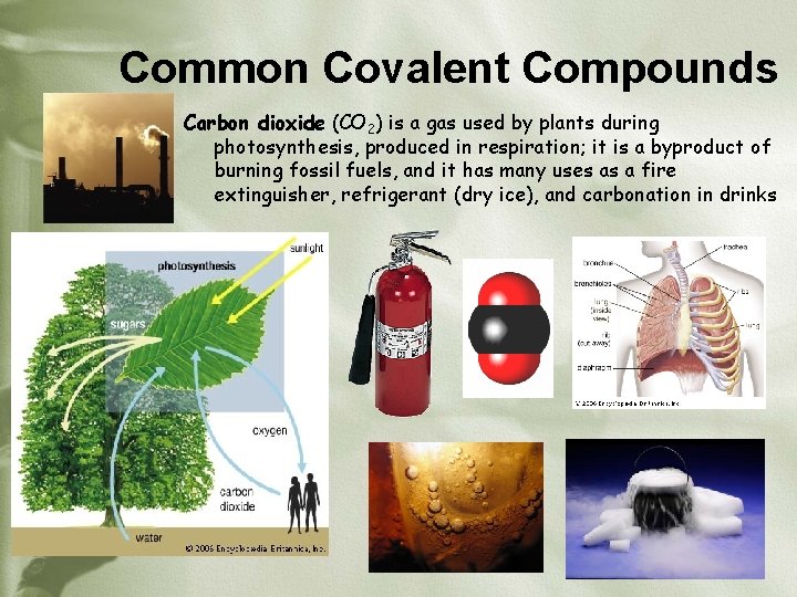 Common Covalent Compounds Carbon dioxide (CO 2) is a gas used by plants during