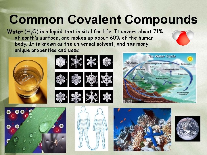 Common Covalent Compounds Water (H 2 O) is a liquid that is vital for