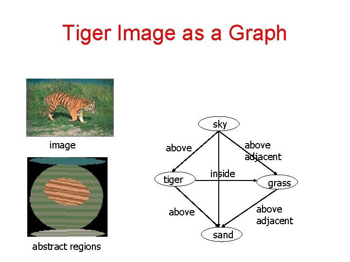 Tiger Image as a Graph sky image above adjacent above tiger inside above adjacent