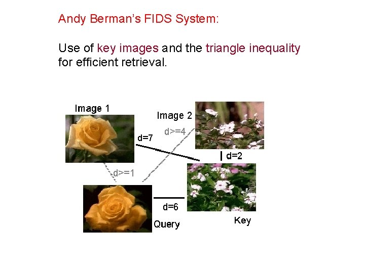 Andy Berman’s FIDS System: Use of key images and the triangle inequality for efficient