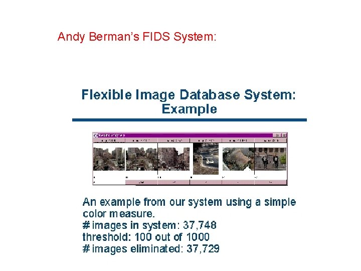 Andy Berman’s FIDS System: 