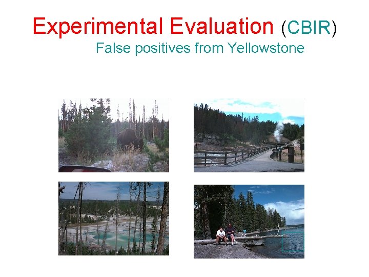 Experimental Evaluation (CBIR) False positives from Yellowstone 