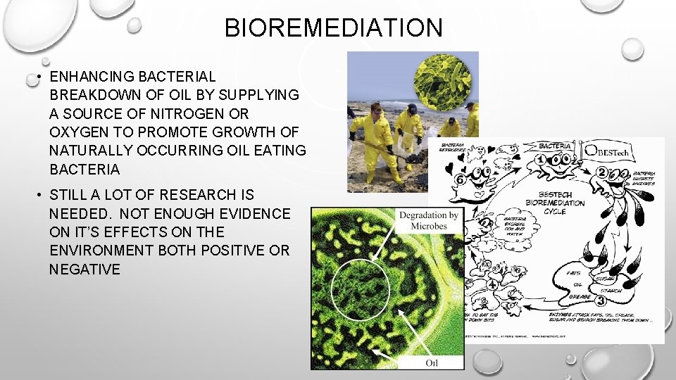 BIOREMEDIATION • ENHANCING BACTERIAL BREAKDOWN OF OIL BY SUPPLYING A SOURCE OF NITROGEN OR