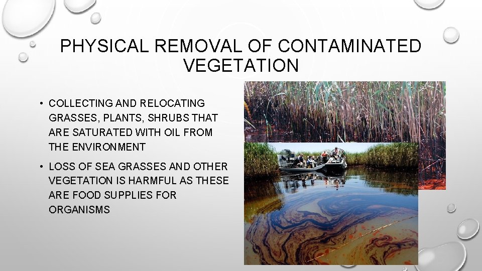PHYSICAL REMOVAL OF CONTAMINATED VEGETATION • COLLECTING AND RELOCATING GRASSES, PLANTS, SHRUBS THAT ARE