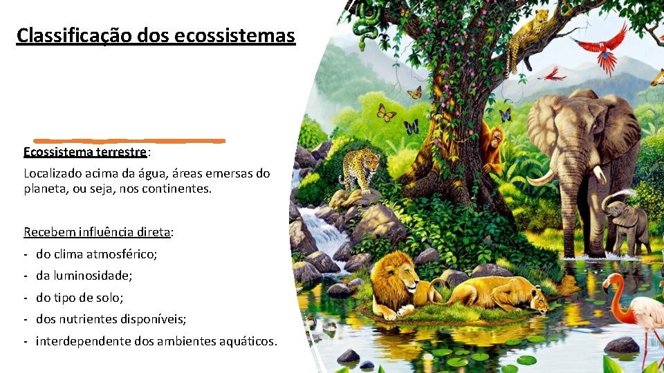Vida e ambientes no planeta Terra 6 anos