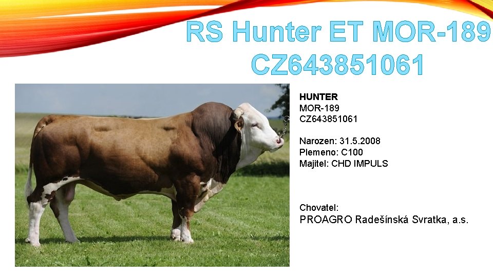 RS Hunter ET MOR-189 CZ 643851061 HUNTER MOR-189 CZ 643851061 Narozen: 31. 5. 2008
