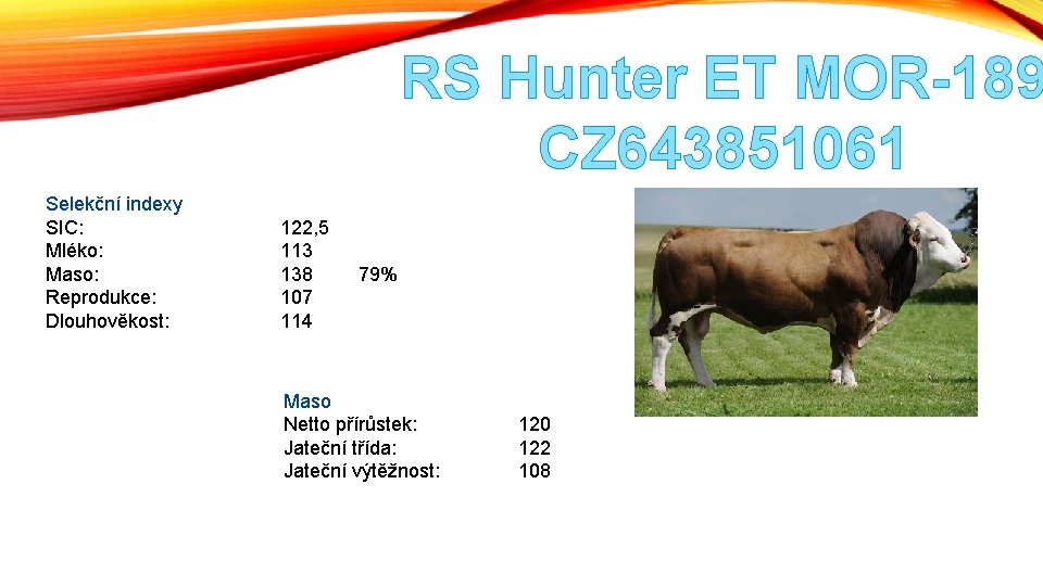 RS Hunter ET MOR-189 CZ 643851061 Selekční indexy SIC: Mléko: Maso: Reprodukce: Dlouhověkost: 122,