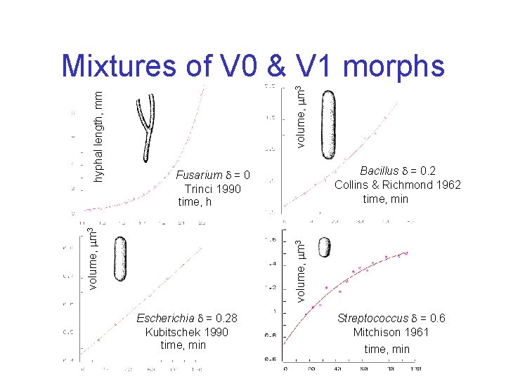 volume, m 3 Bacillus = 0. 2 Collins & Richmond 1962 time, min Fusarium