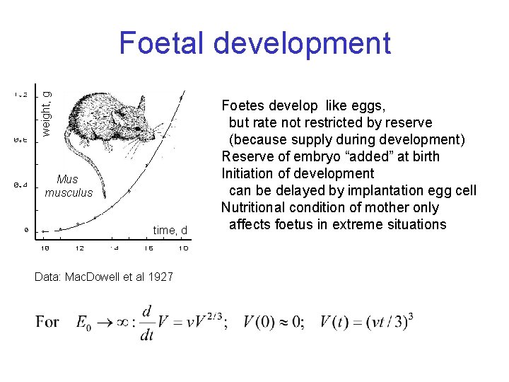 weight, g Foetal development Mus musculus time, d Data: Mac. Dowell et al 1927