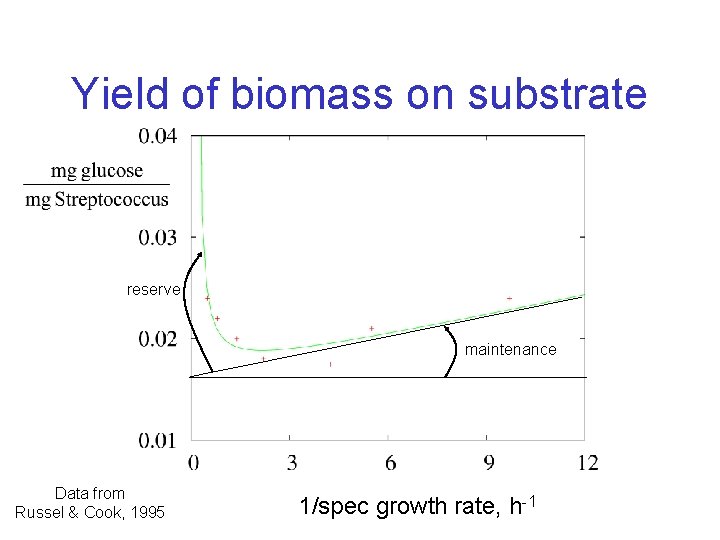 Yield of biomass on substrate reserve maintenance Data from Russel & Cook, 1995 1/spec