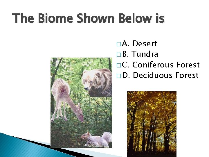 The Biome Shown Below is � A. Desert � B. Tundra � C. Coniferous