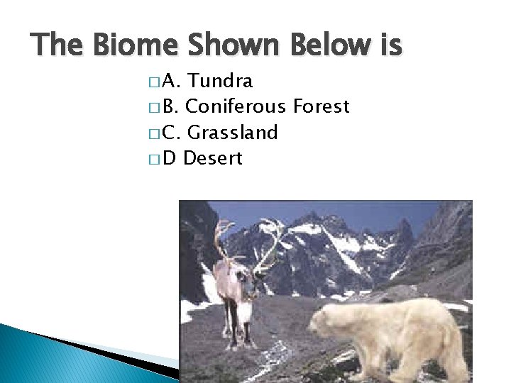 The Biome Shown Below is � A. Tundra � B. Coniferous Forest � C.