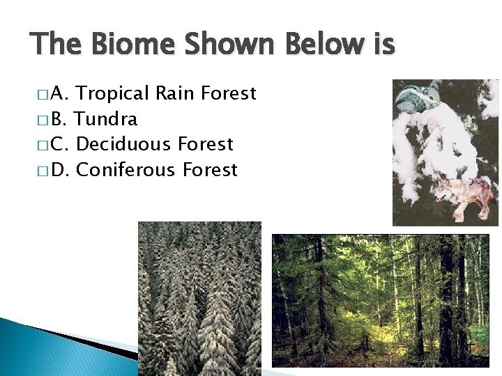 The Biome Shown Below is � A. Tropical Rain Forest � B. Tundra �