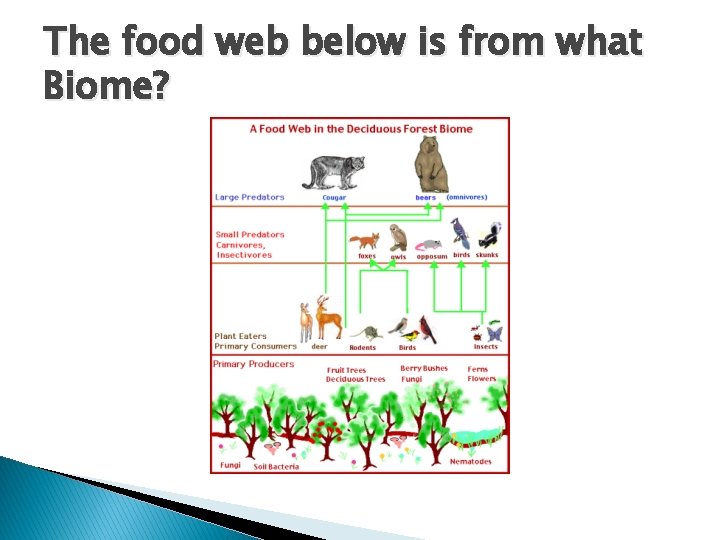 The food web below is from what Biome? 
