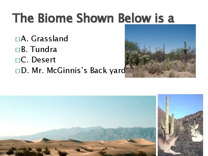 The Biome Shown Below is a � A. Grassland � B. Tundra � C.