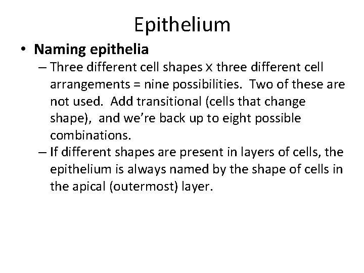 Epithelium • Naming epithelia – Three different cell shapes x three different cell arrangements