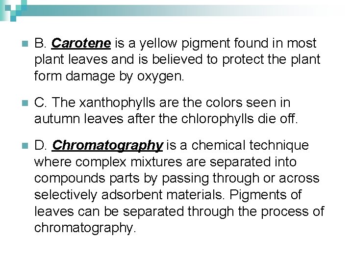 n B. Carotene is a yellow pigment found in most plant leaves and is