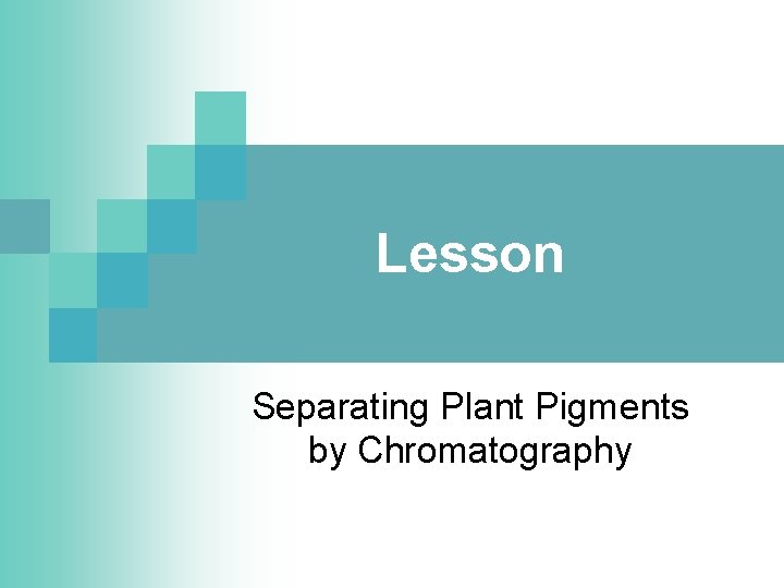 Lesson Separating Plant Pigments by Chromatography 