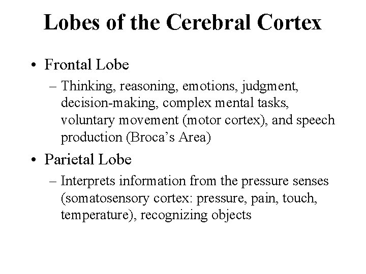 Lobes of the Cerebral Cortex • Frontal Lobe – Thinking, reasoning, emotions, judgment, decision-making,