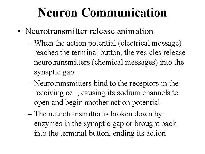 Neuron Communication • Neurotransmitter release animation – When the action potential (electrical message) reaches