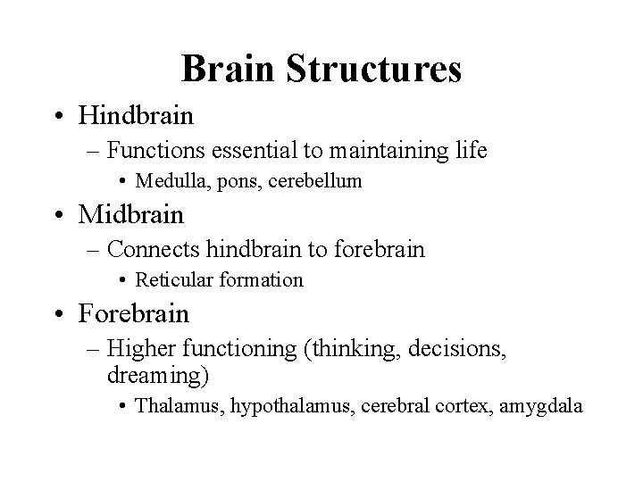 Brain Structures • Hindbrain – Functions essential to maintaining life • Medulla, pons, cerebellum
