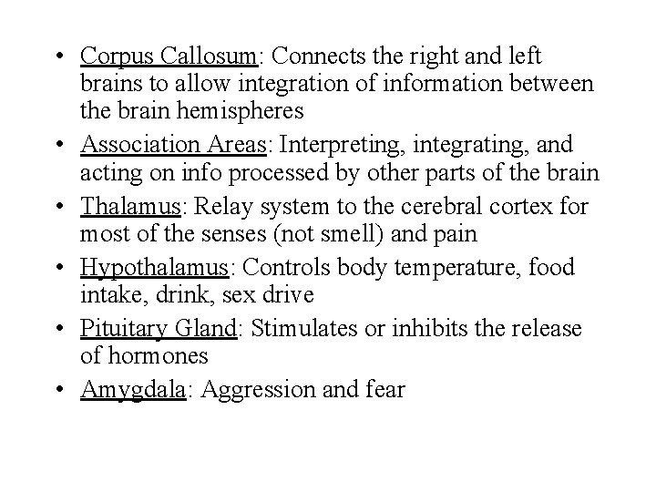  • Corpus Callosum: Connects the right and left brains to allow integration of