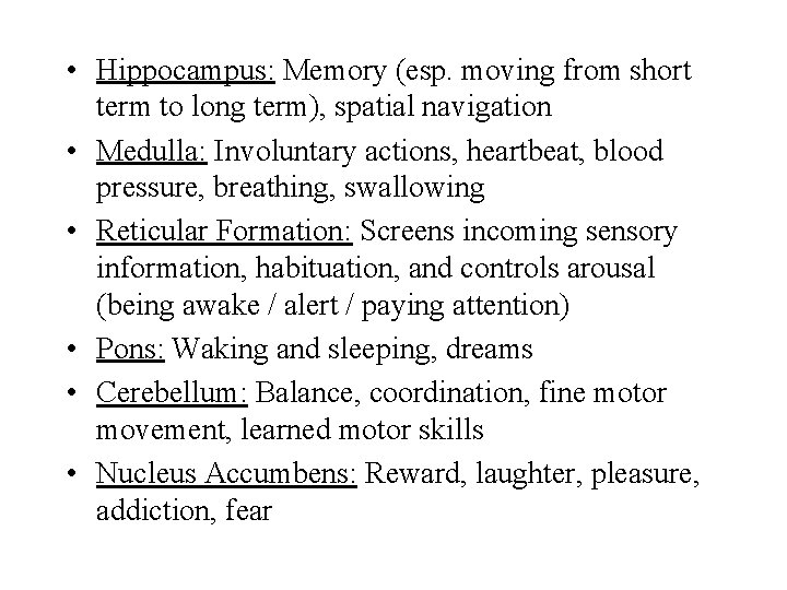  • Hippocampus: Memory (esp. moving from short term to long term), spatial navigation