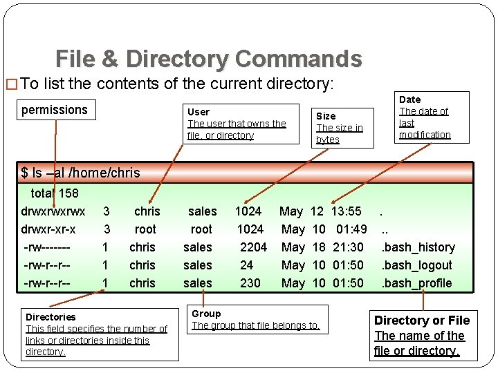 File & Directory Commands � To list the contents of the current directory: permissions File & Directory Commands � To list the contents of the current directory: permissions