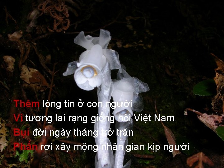 Thêm lòng tin ở con người Vì tương lai rạng giống nòi Việt Nam