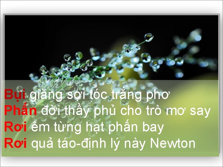 Bụi giăng sợi tóc trắng phơ Phấn đời thầy phủ cho trò mơ say