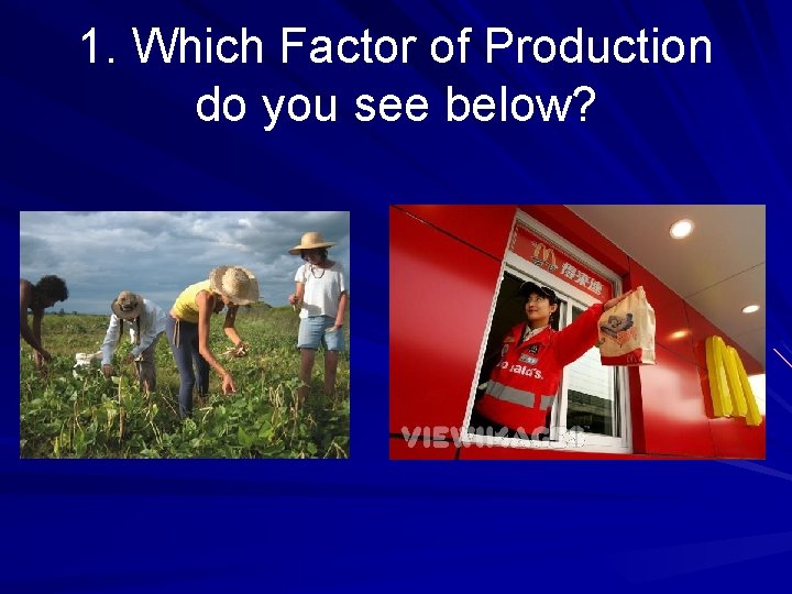 1. Which Factor of Production do you see below? 