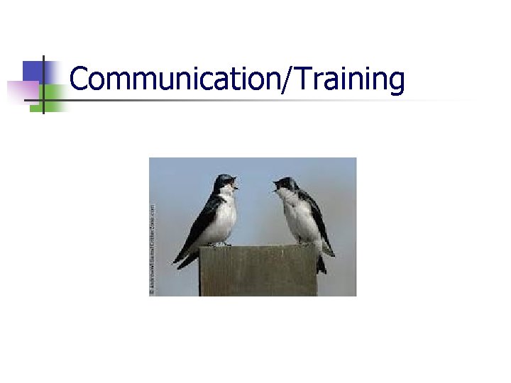 Communication/Training 