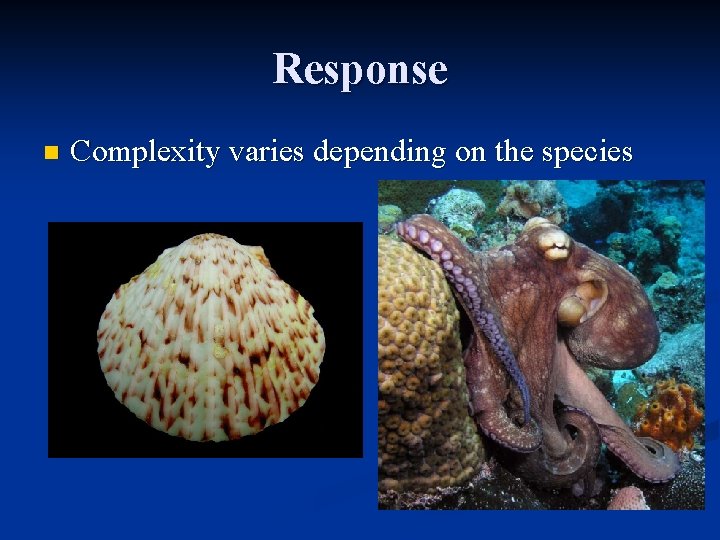 Response n Complexity varies depending on the species 