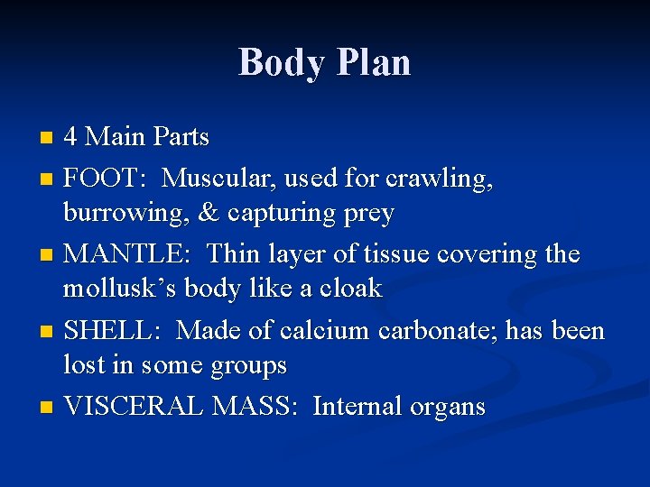 Body Plan 4 Main Parts n FOOT: Muscular, used for crawling, burrowing, & capturing