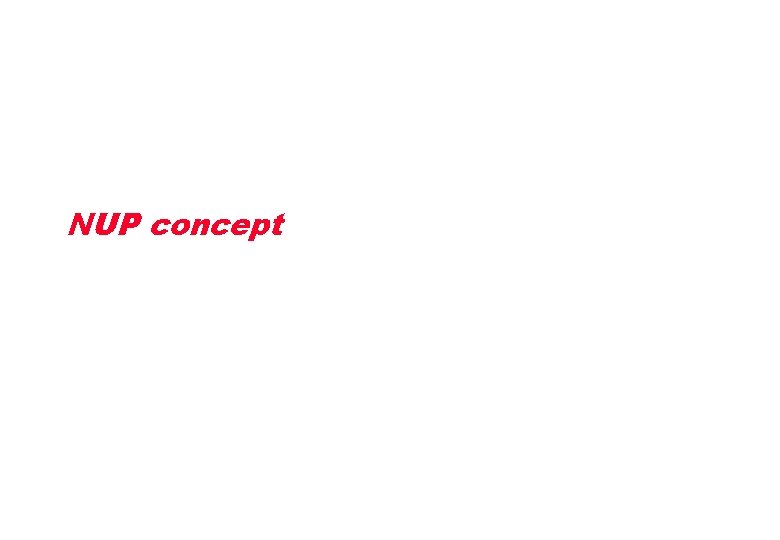 NUP concept 