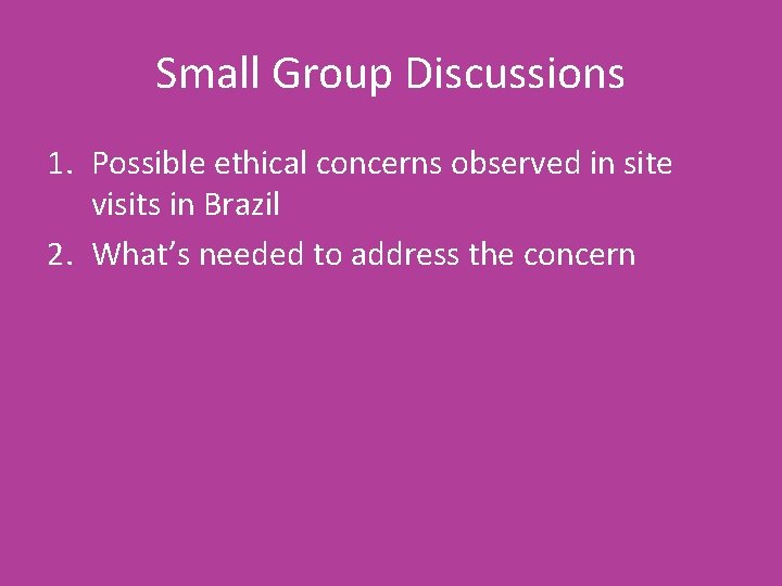 Small Group Discussions 1. Possible ethical concerns observed in site visits in Brazil 2.