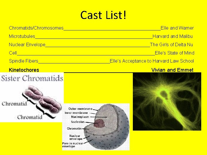 Cast List! Chromatids/Chromosomes___________________Elle and Warner Microtubules_______________________Harvard and Malibu Nuclear Envelope_____________________The Girls of Delta Nu